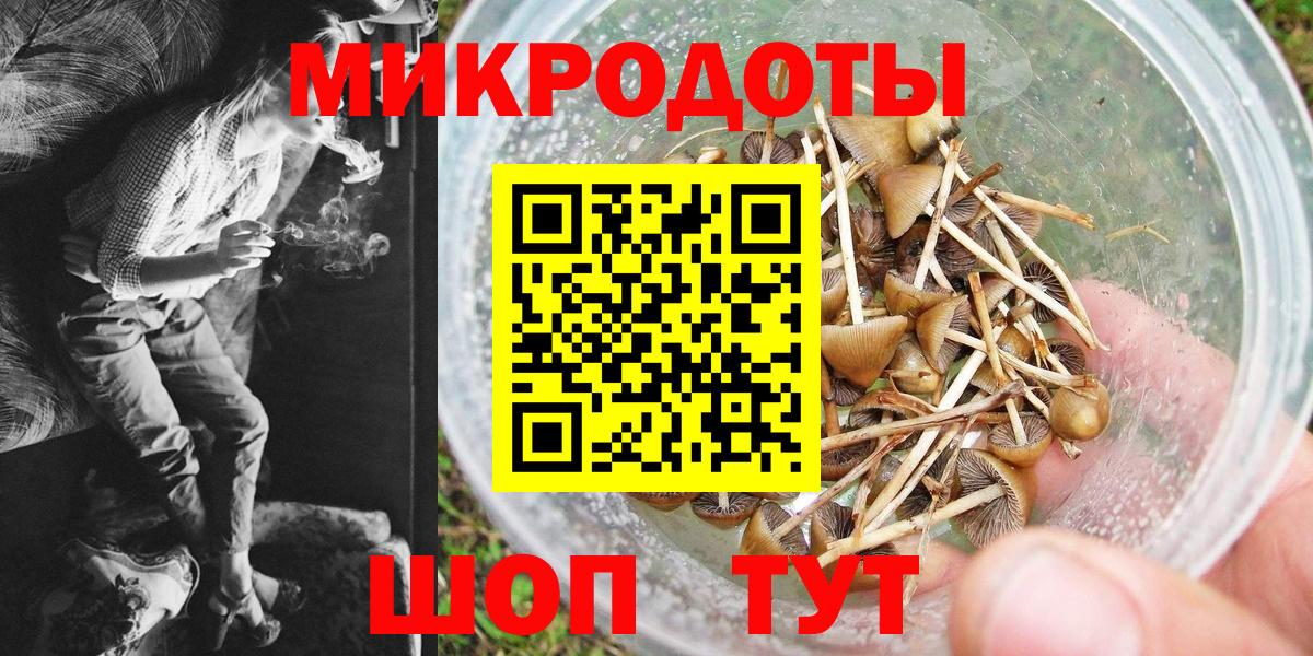 Когалым  Псилоцибиновые грибы Magic Shrooms  Вход с VPN 